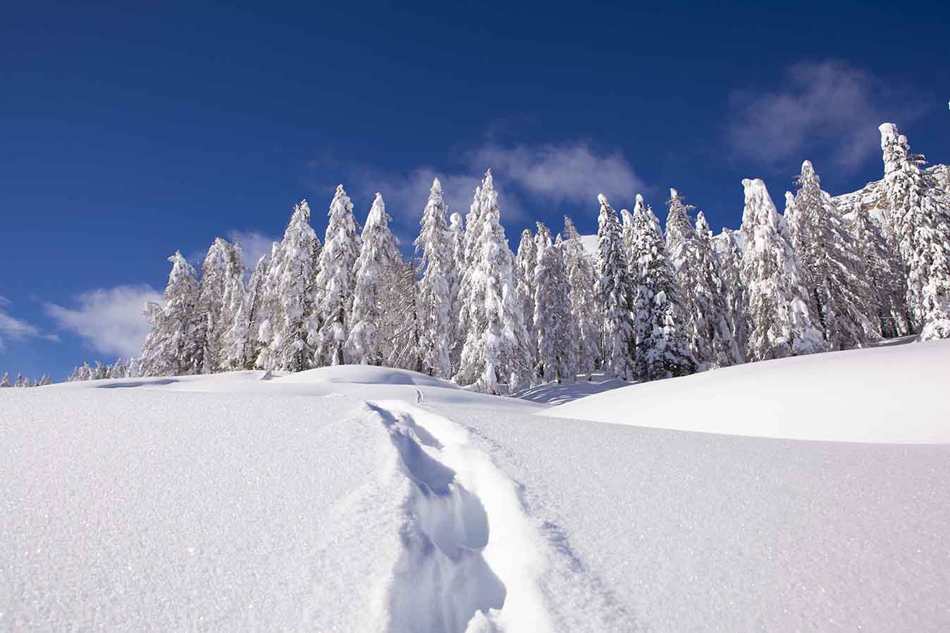 Poster per arredo Paesaggio Innevato